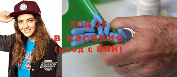 сатива Зеленокумск