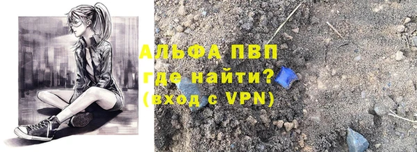 сатива Зеленокумск